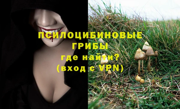 экстази Алзамай