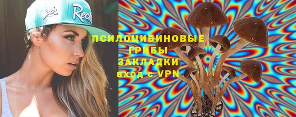 прущие грибы Алексеевка