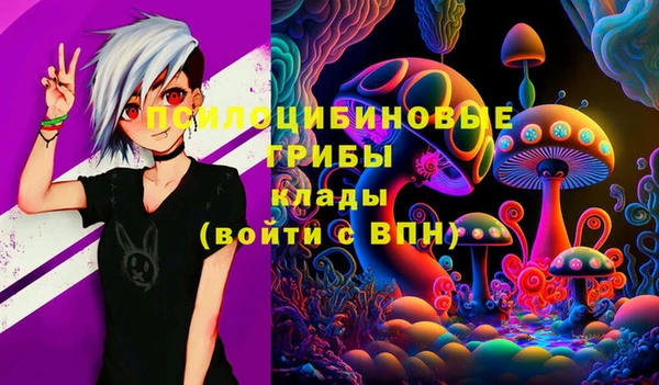 прущие грибы Алексеевка