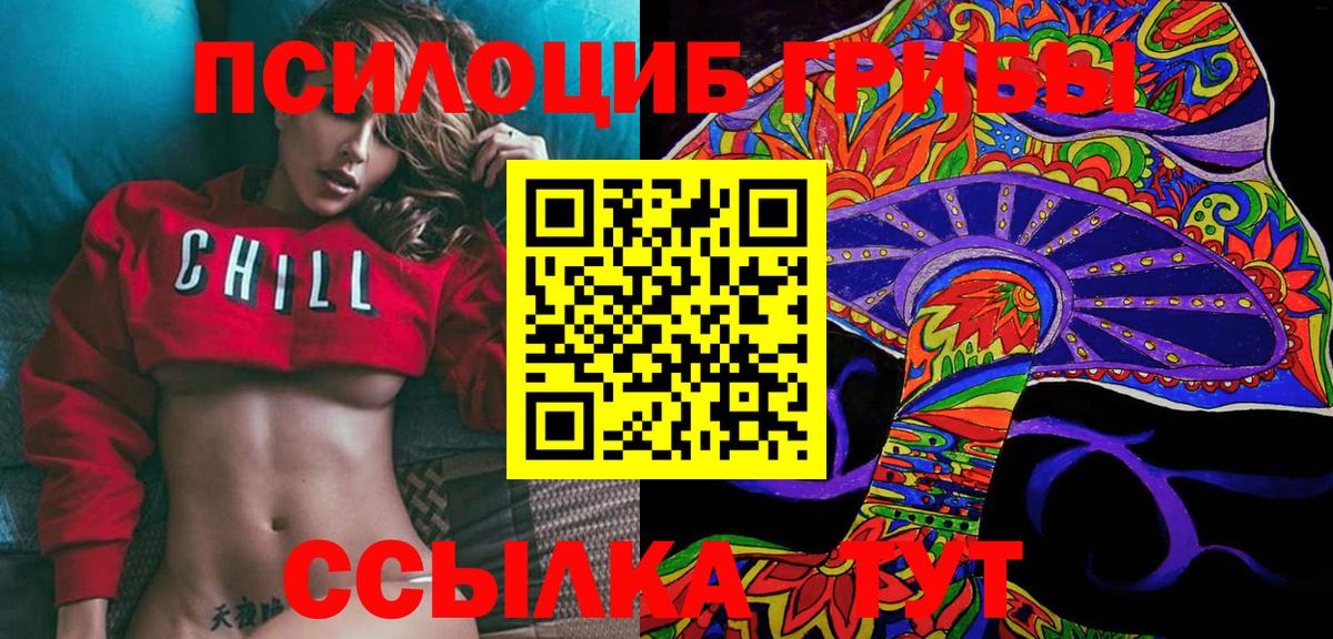 Галлюциногенные грибы Psilocybine cubensis Конаково